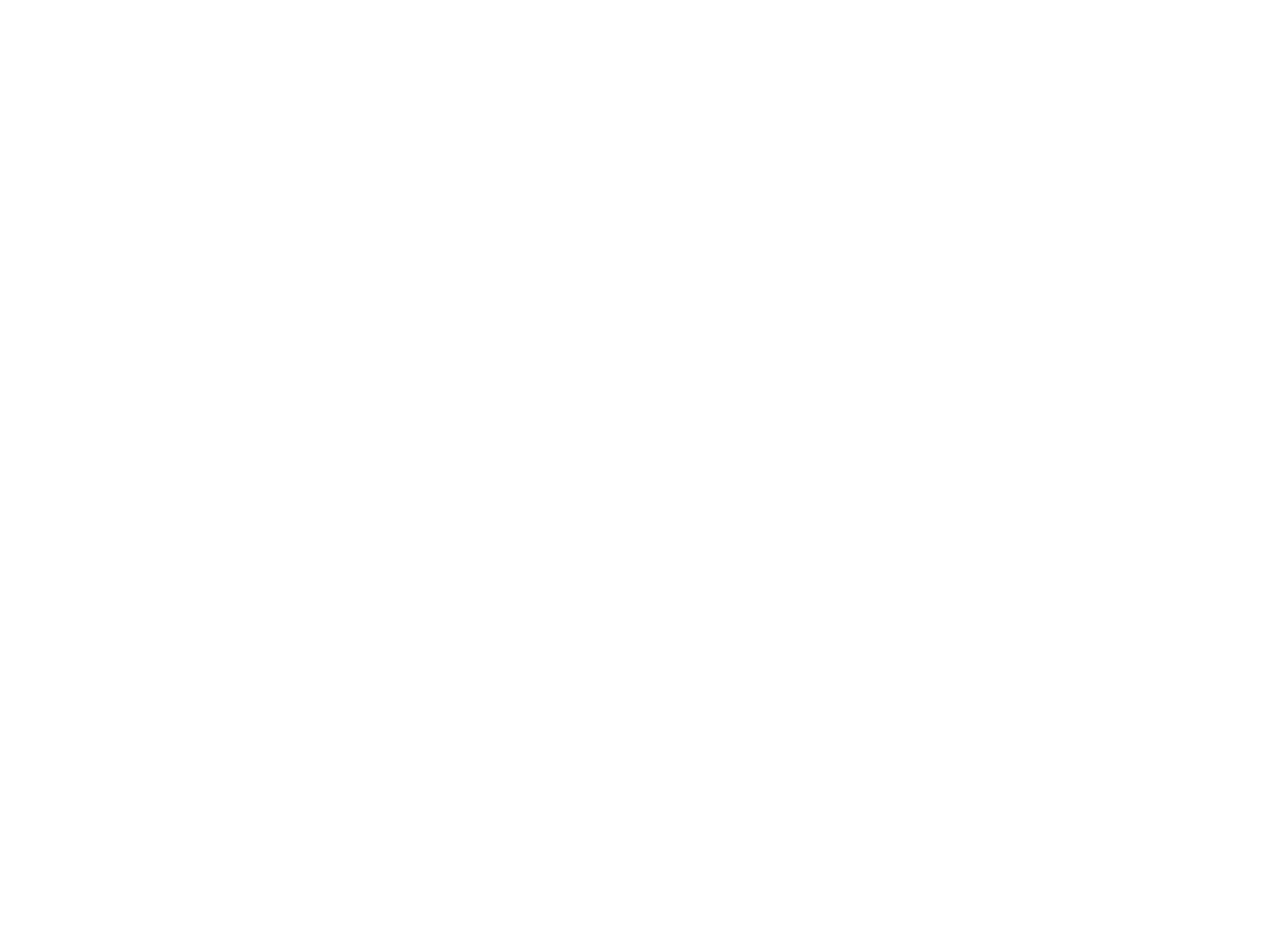 MAX Logo (White)